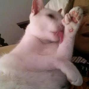 Meet your Posher, Katy